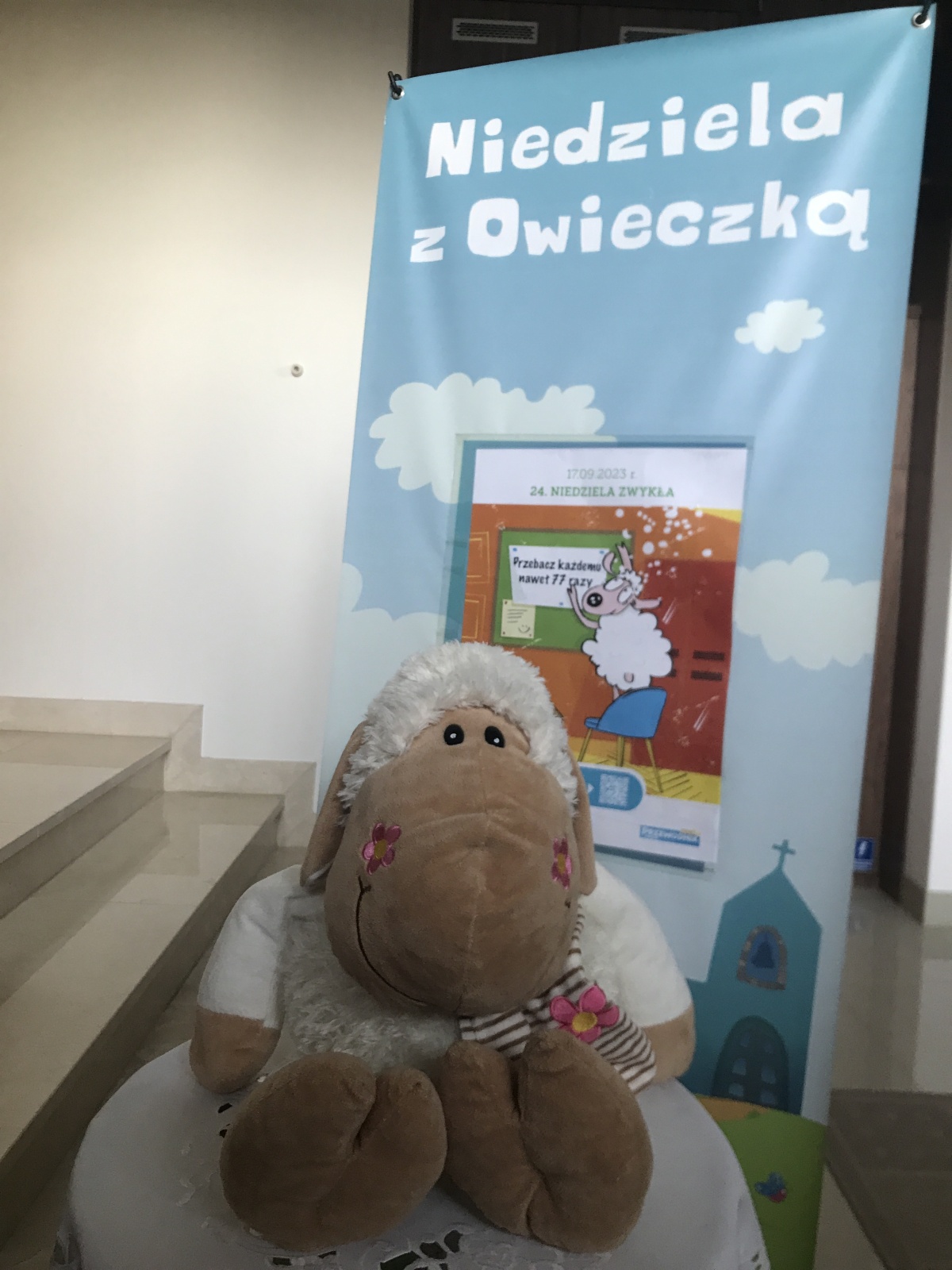 Owieczka Magda 17.09.2023 r.