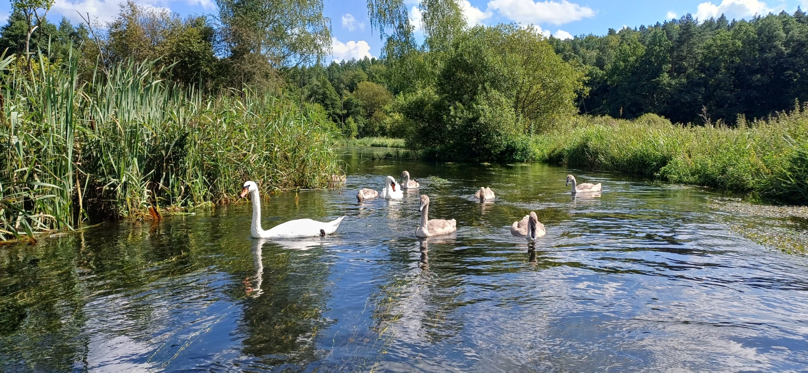 Wyjazd młodzieży 07.08.2024 r.